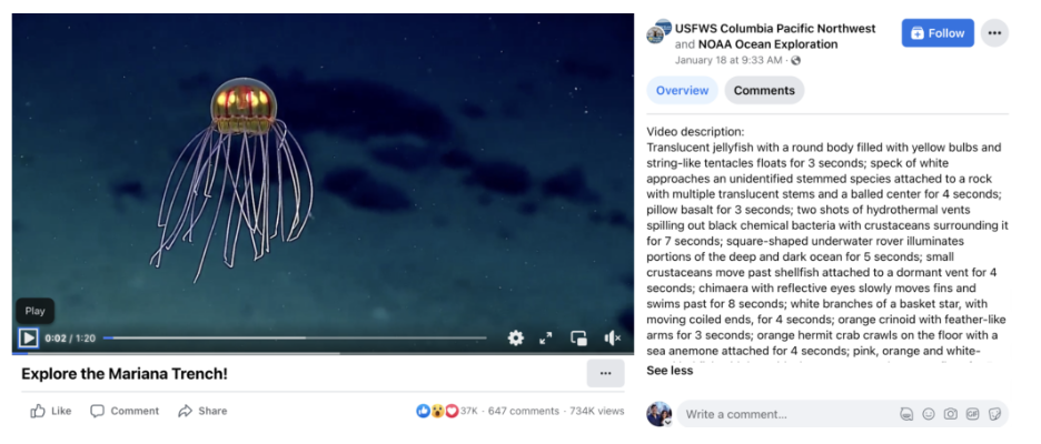 social media accessibility