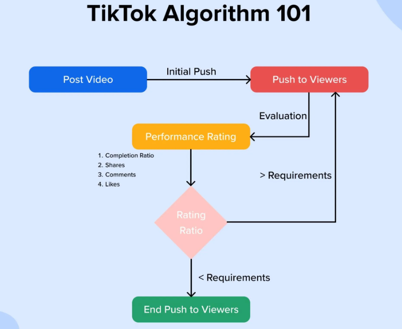 TikTok algorithm